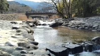 UTUWA通信～久々の森林浴（中ノ島公園）～